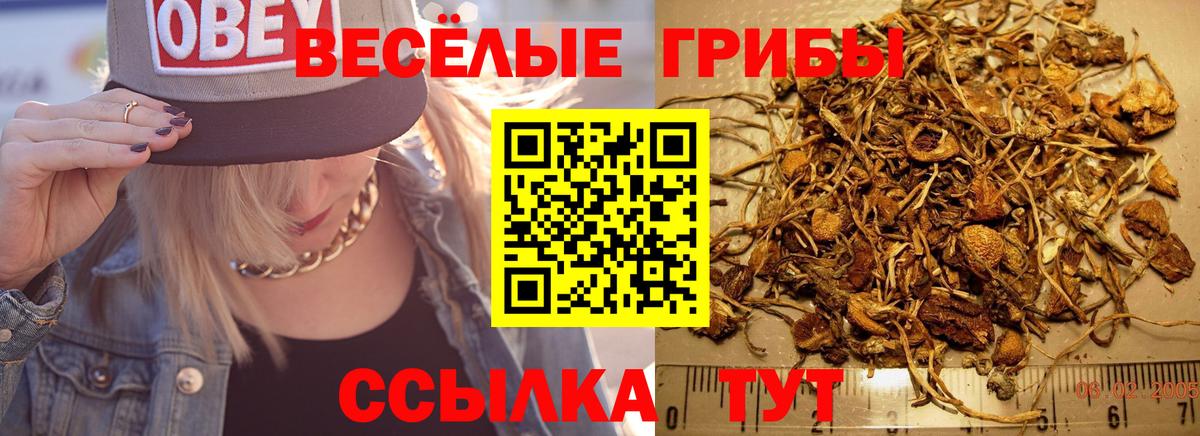 Павлово  Галлюциногенные грибы мицелий  Вход с VPN  Псилоцибиновые грибы мухоморы 