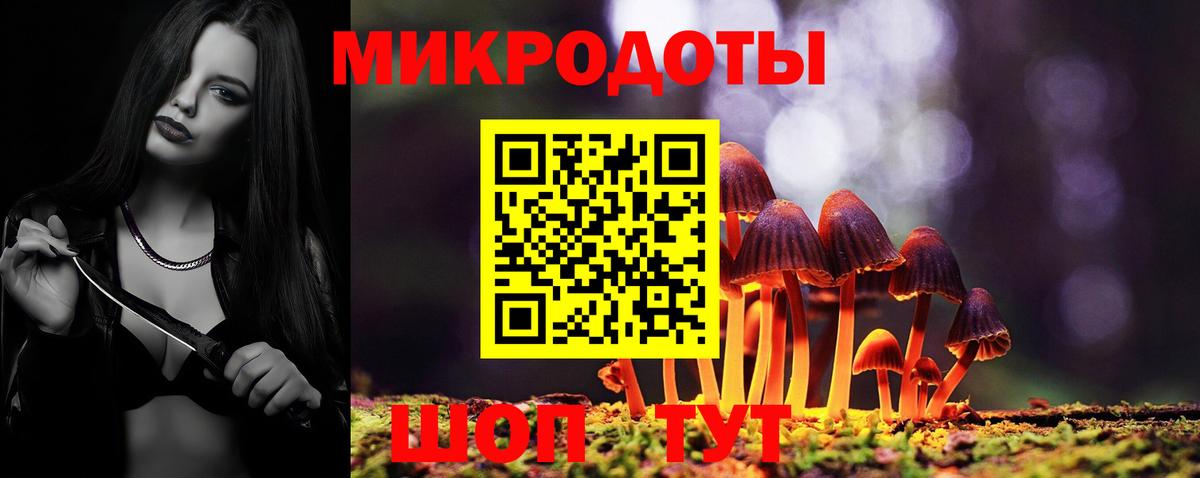 Галлюциногенные грибы Psilocybe Павлово