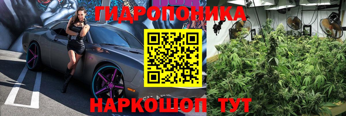 Шишки марихуана AK-47 Павлово